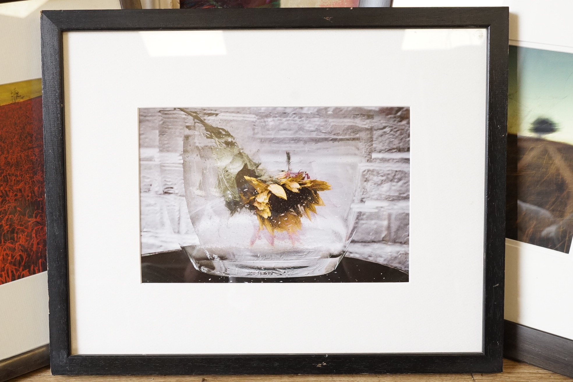 Three photographic prints, Landscapes and Sunflower in a vase, unsigned, largest 17 x 27cm